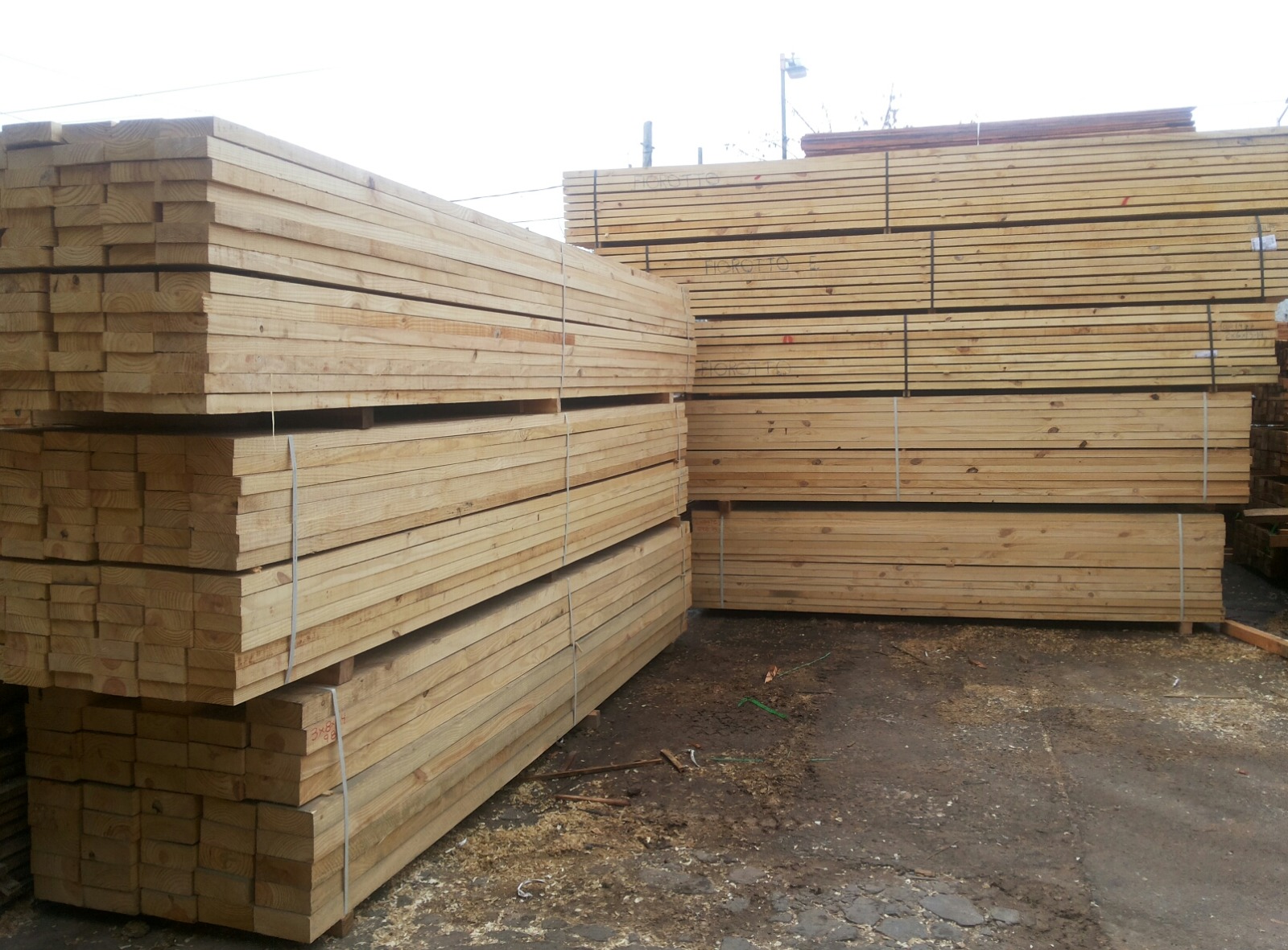 Tirantes de Pino Elliotis Misionero
